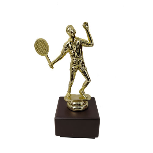 Fiber Trophy - FTDS Badminton