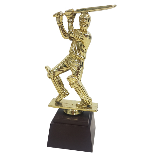 Fiber Trophy - FTDS Cricket 2