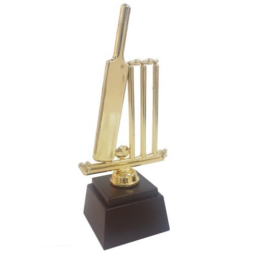 Fiber trophy - FTDS Cricket 3