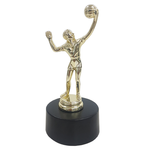 Fiber Trophy - FTDS Volleyball 2
