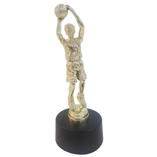 Fiber Trophy - FTDS Basketball 2