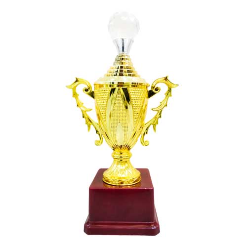 Fiber Trophy - FTSS  5076