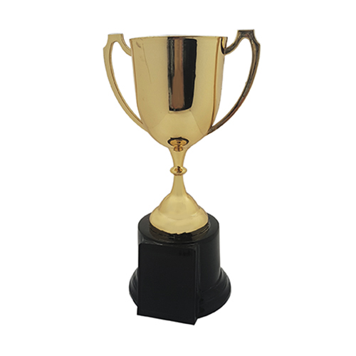 Fiber Trophy - FTSS Cup 6831