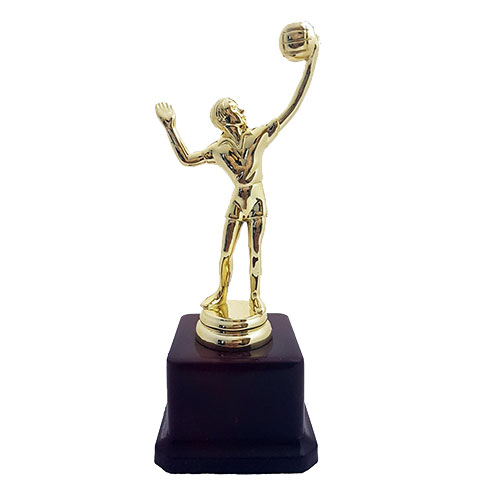 Fiber Trophy - FTSS Basketball 5212/1
